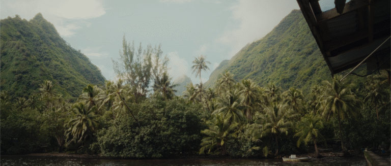 Capture d’écran 2025-08-27 à 16.16.19