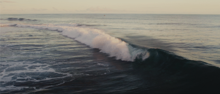 Capture d’écran 2025-08-27 à 16.20.14