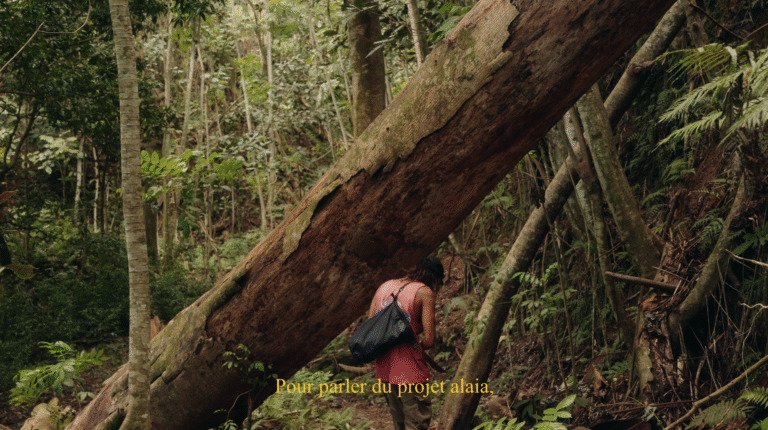 Capture d’écran 2025-10-15 à 15.56.24